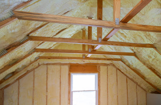 Best Residential Insulation in Fresno, TX