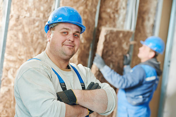 Best Insulation Maintenance and Repair in Fresno, TX