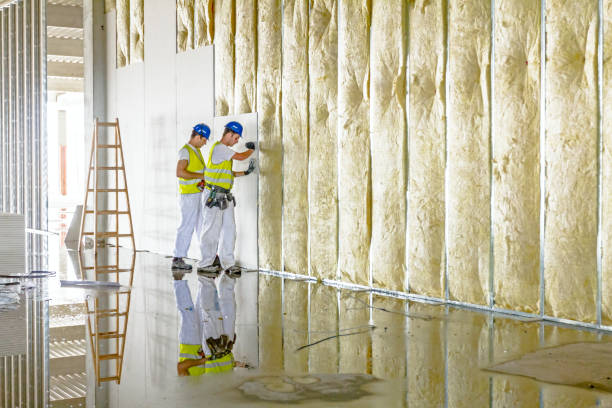 Fresno, TX Insulation Contractor Pros